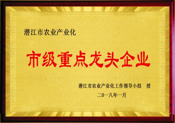 市級重點(diǎn)龍頭企業(yè)